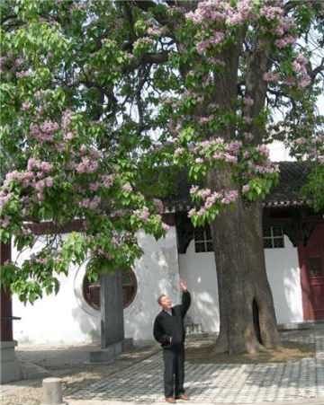 guanshang1.jpg